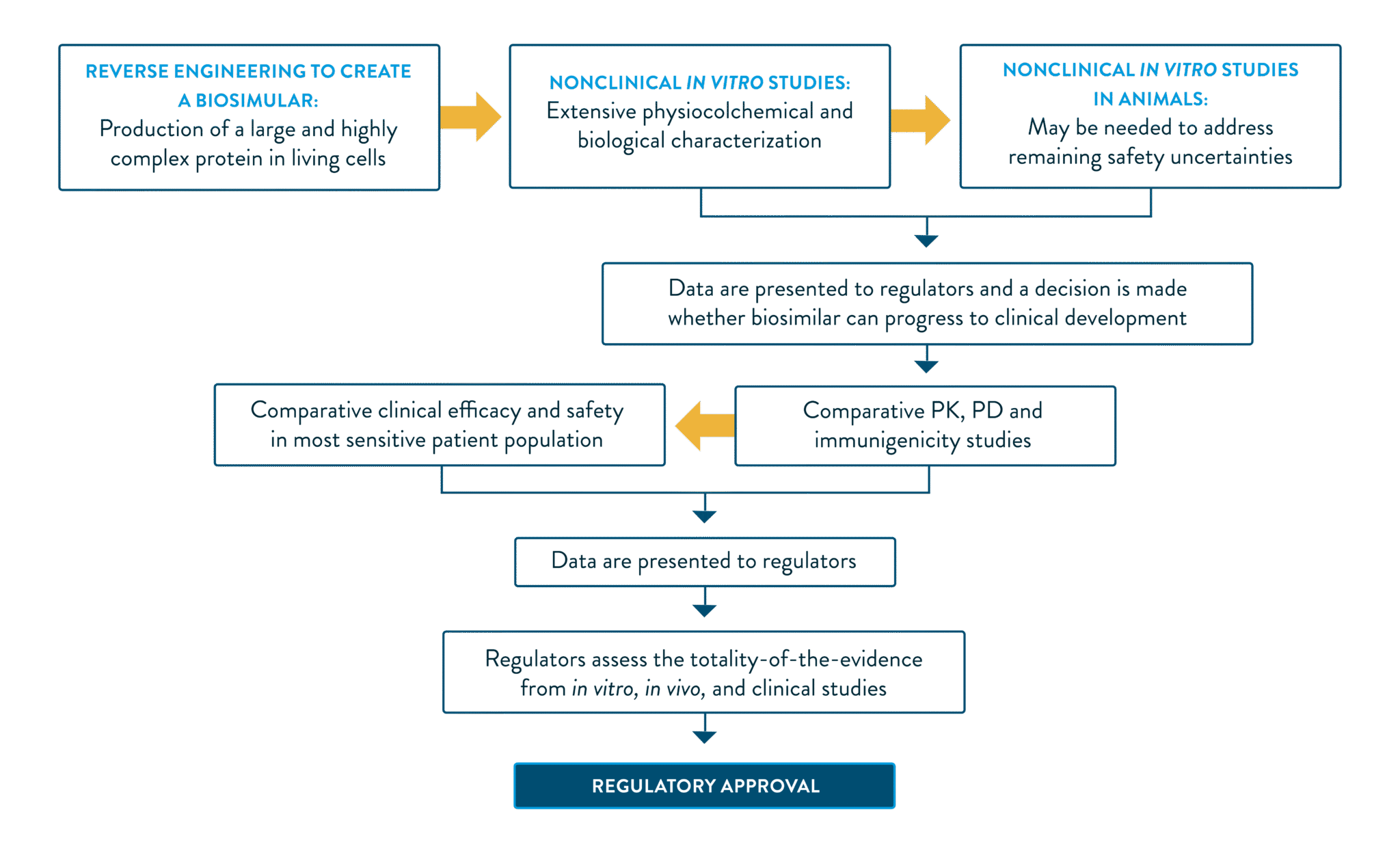 Approval Pathway - Abbott | Medicines GLOBAL
